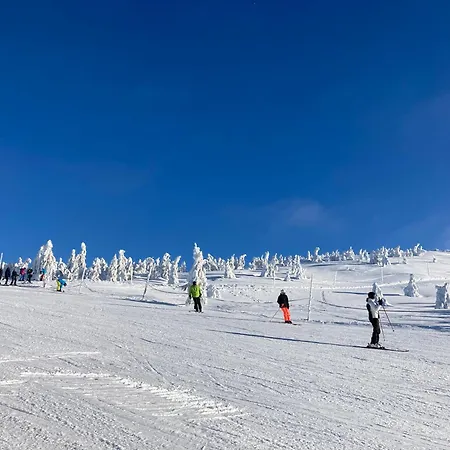 Krkonoše Rokytnice Apartmán *