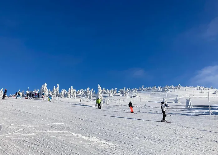 Krkonose Rokytnice アパート *
